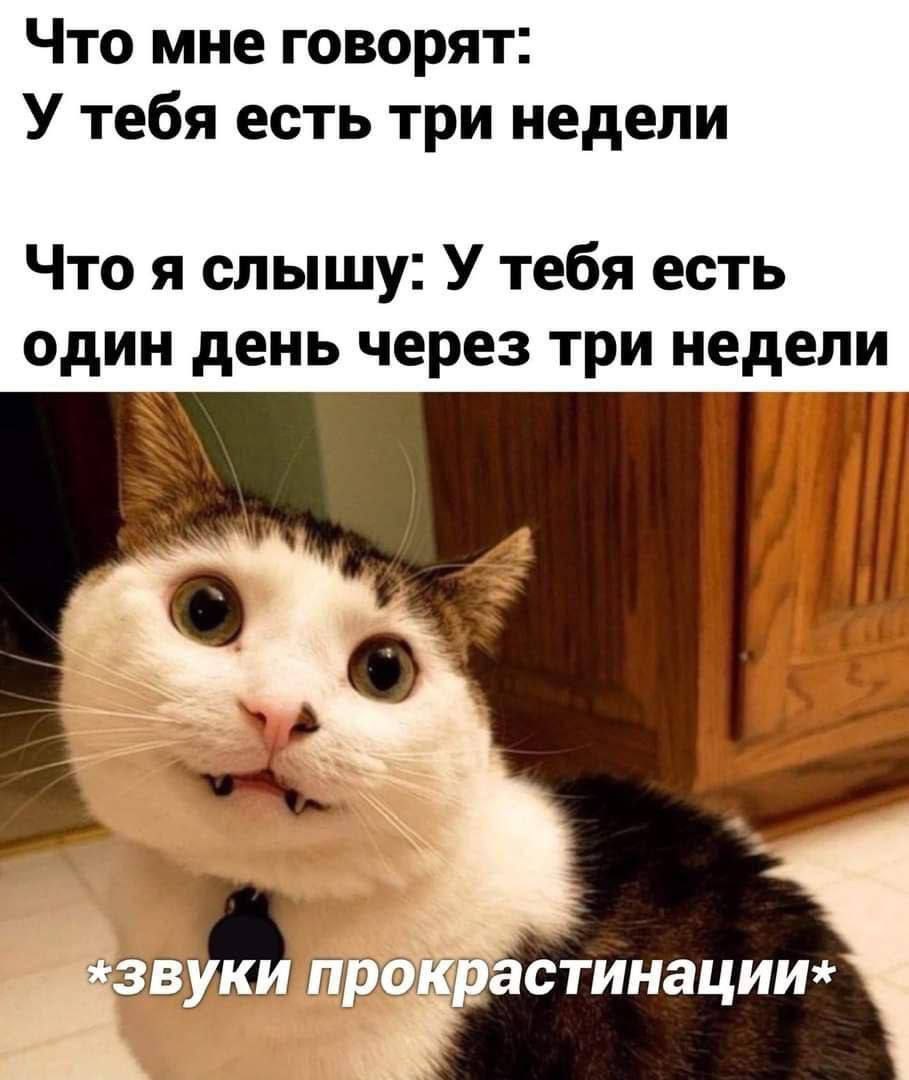 ИП Колесников Сергей Леонидович: стоимость услуг, контакты, позиции в  рейтингах, портфолио — вся информация об агентстве